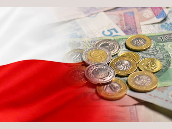 Poland SPI Licensed Company For Sale