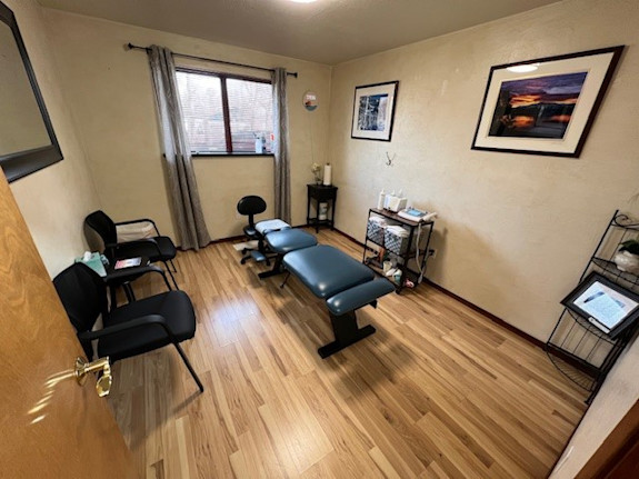 Carson City NV Chiropractic Practice For Sale