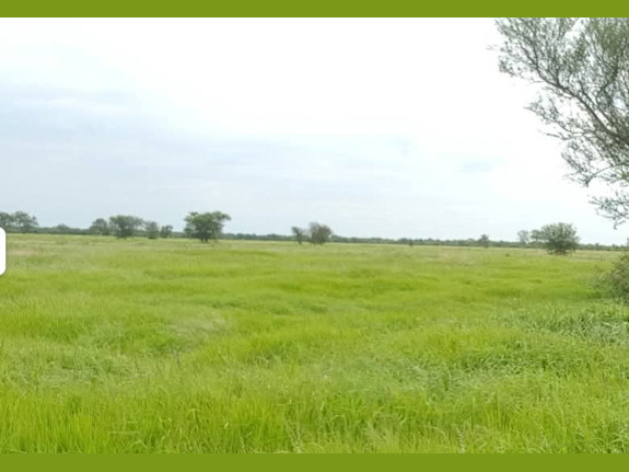 For sale 78.293 Acre Cattle Ranch in South America