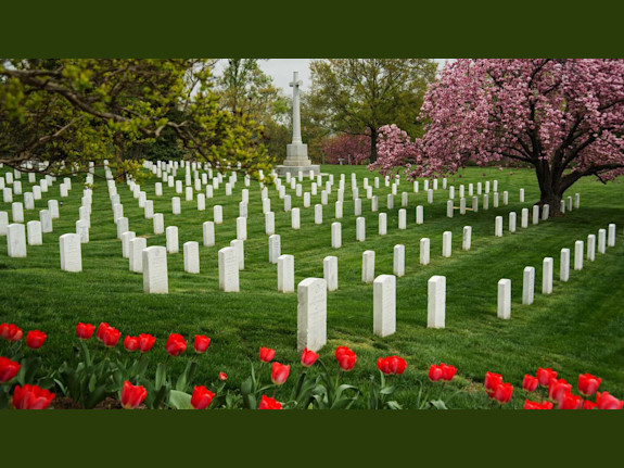 Lucrative For-profit Cemetery in China for Sale