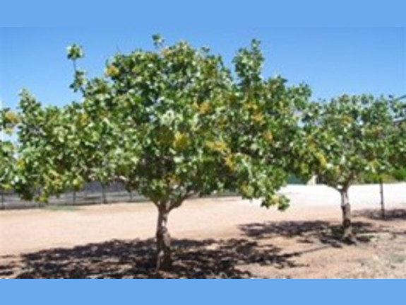 Land Bank Company Seeking Farm & Ranch Land