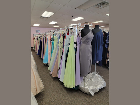 Business Opportunity Only