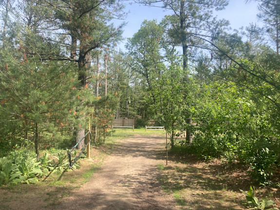 Profitable Canoe Livery And Rv Park