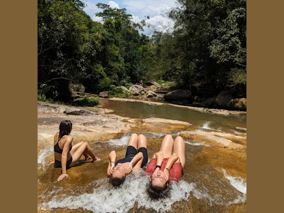 Amazon Rainforest Jungle Lodging / Real Estate Pro