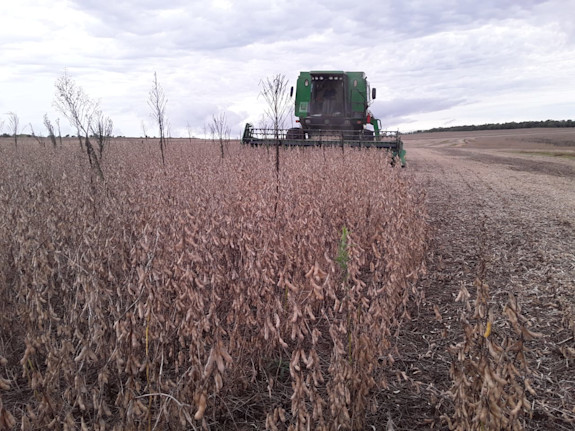 22,239 Acres Soy Bean/Cattle Farm Paraguay