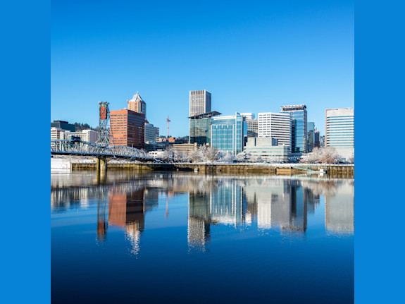 Portland, OR Area Small Animal Clinic with 3 DVMs