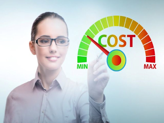 Franchise - Cost Reduction Consulting - Home Based