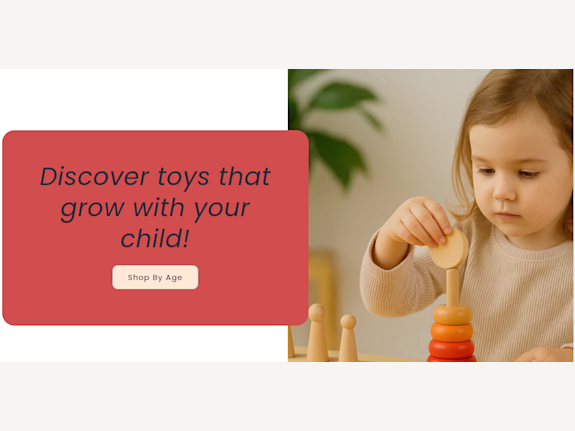 Profitable Ecommerce Montassori Toy Store