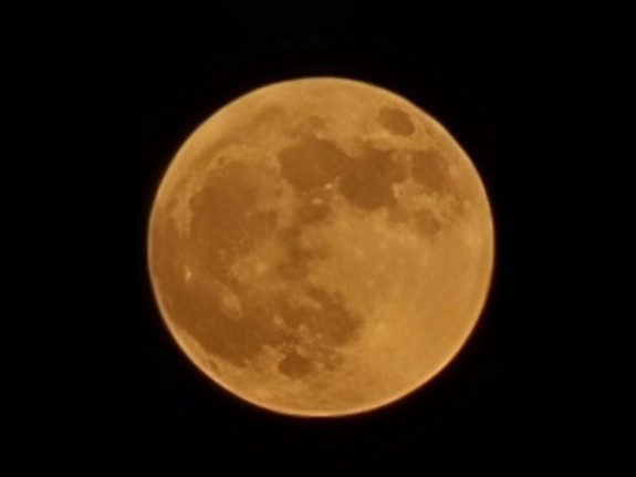 Special Situations Capital