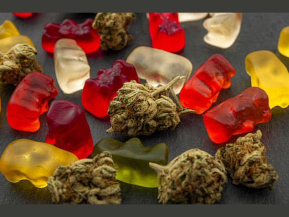Cannabis Edibles & Extracts Mfr Seeks Growth Funds