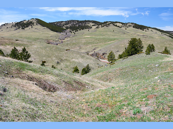 100 Acres with Impeccable Views and Potential