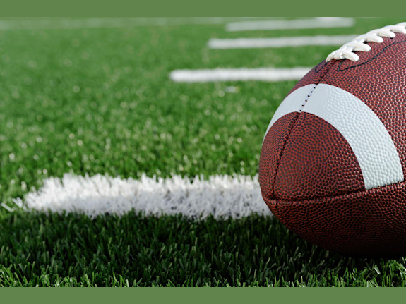 Seeking Shareholders & Investors