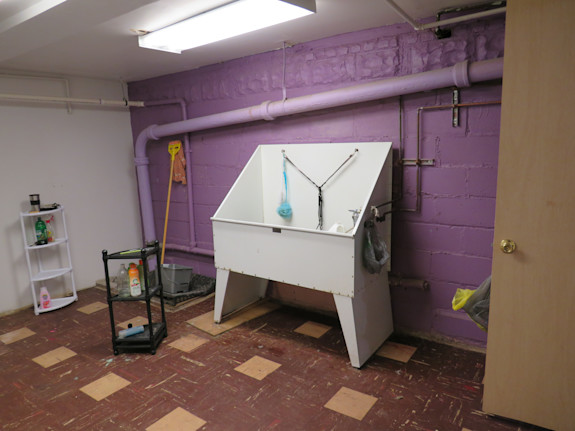 Pet Grooming Business