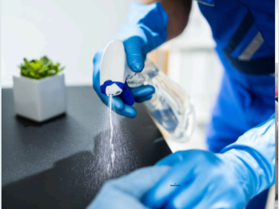 Master the Market, Skip the Mop