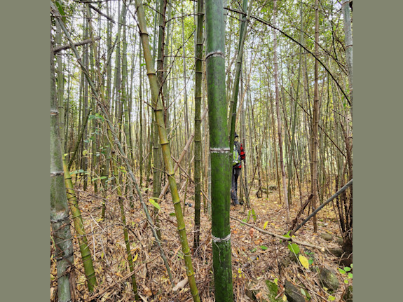 Excellent Plot Of Land For Sale In Korea