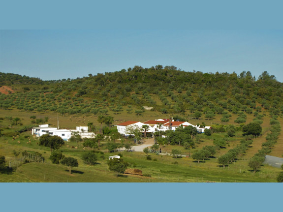 Property with Great Tourist Potential/ Alqueva