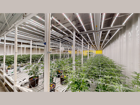 Medical Cultivation Operation in Mississippi