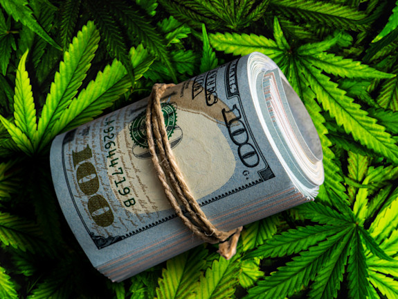 Business Line of Credit /  Cannabis Included