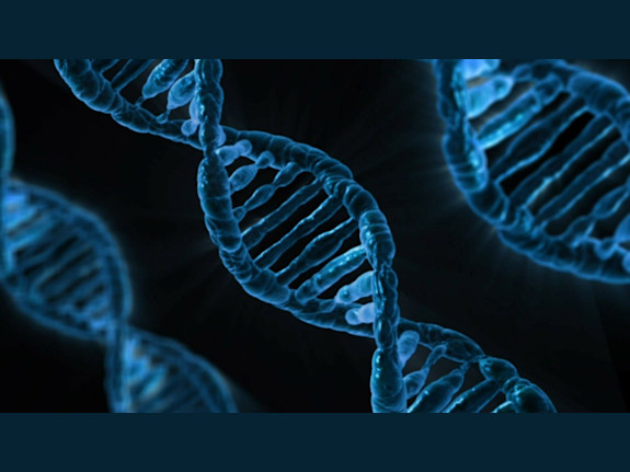 High Complexity Lab Licenses - Covid19