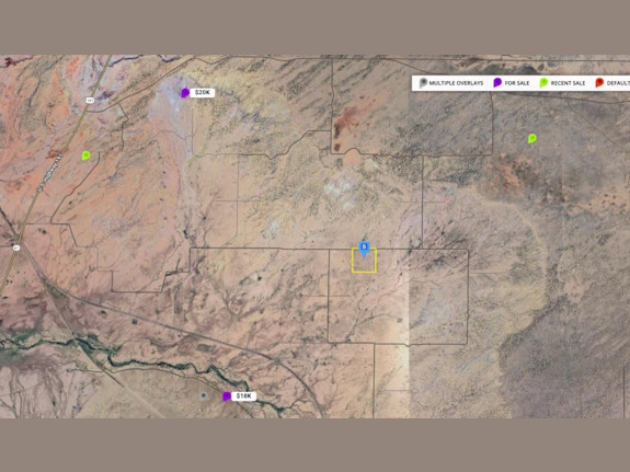 Cheap 40 Acres Mostly Flat Land near St Johns