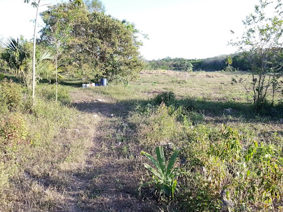 Strategic Agricultural /Agroindustrial Investment