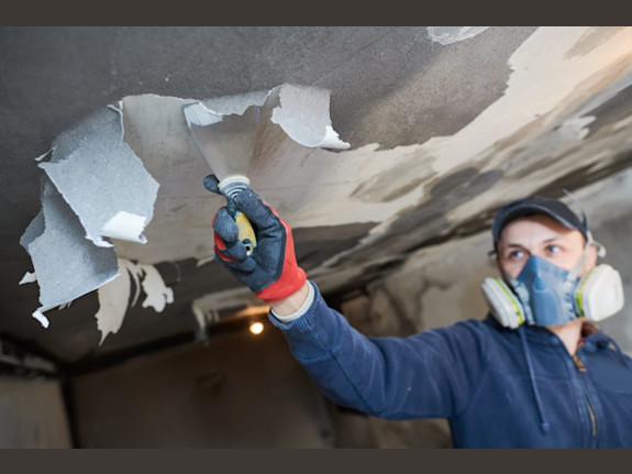 Disaster Restoration Business- Continuous Revenue