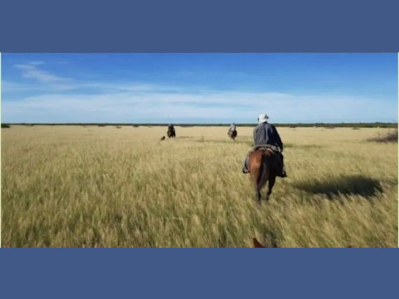 For sale 78.293 Acre Cattle Ranch in South America