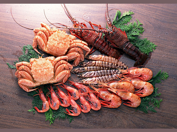 Fast Growing F&B Distribution Business