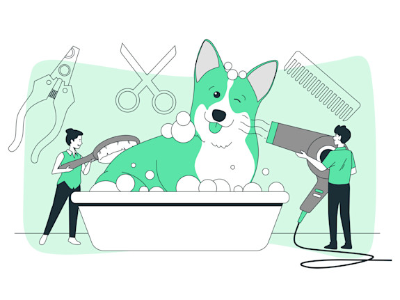 Profitable Pet Grooming With Mobile Grooming Van