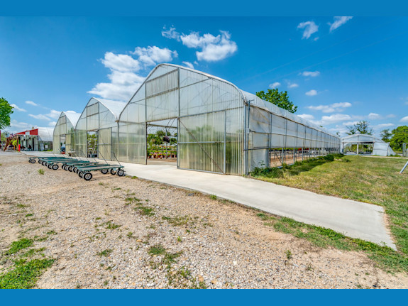Retail and Wholesale Nursery in Texas