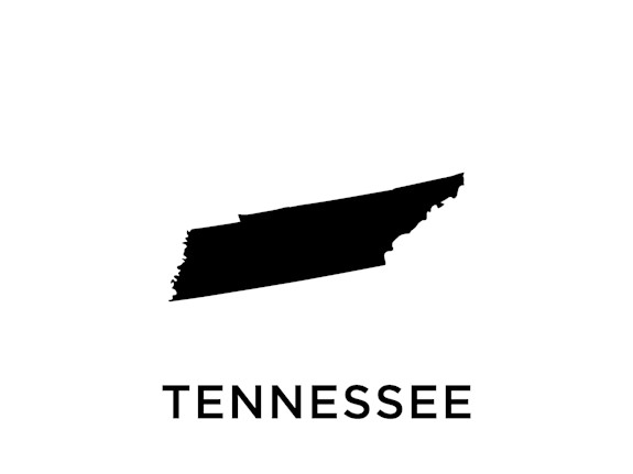 Memphis Tennessee Cash Practice For Sale