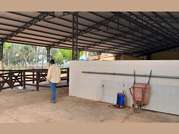 Cattle Ranch Paraguay