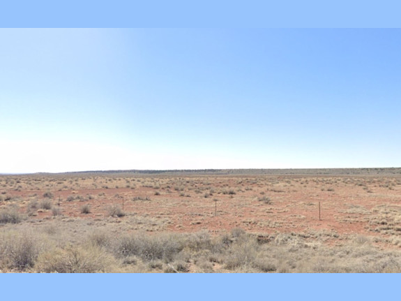 Cheap 40 Acres Mostly Flat Land near St Johns