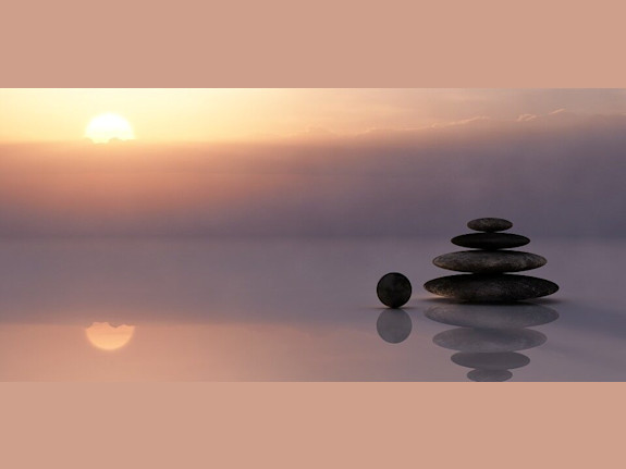 Brand New Wellness Franchise