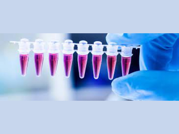 High-Complexity CLIA/Medicare License Laboratory