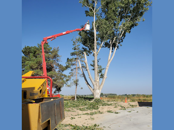 Professional Tree Company For Sale