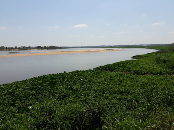 Excellent Cattle Ranch For Sale Paraguay