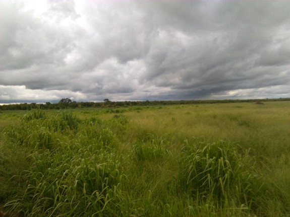 10,000 has-- 24,700 acres Cattle Ranch Paraguay