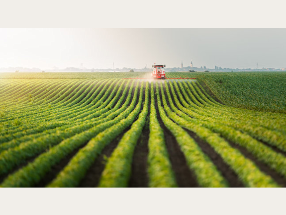 Successful Manufacturing Business For Sale