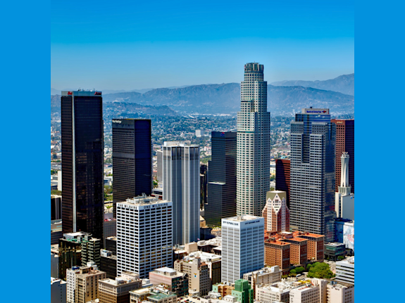 2-Doctor Vet Practice for Sale in LA County