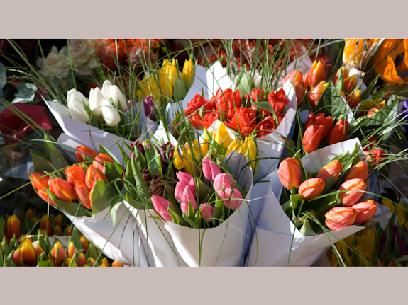 Turnkey High-End Florist with Renowned Designer