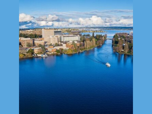 Awesome Seattle Chiro Practice and Real Estate