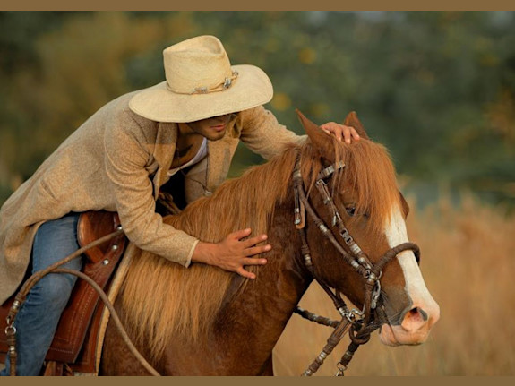 Prestigious Horse Saddle Manufacturer