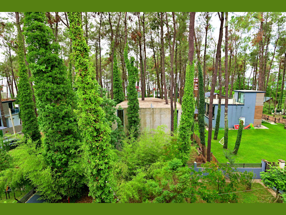 House For Sale 220M. From The Black Sea, Georgia