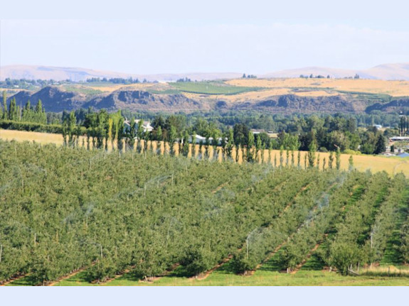 Yakima County, WA Small Animal Practice for Sale