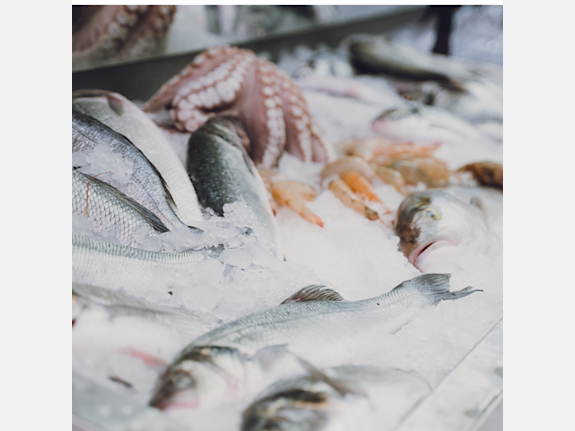 30 Year Old Food Service Company In Canada