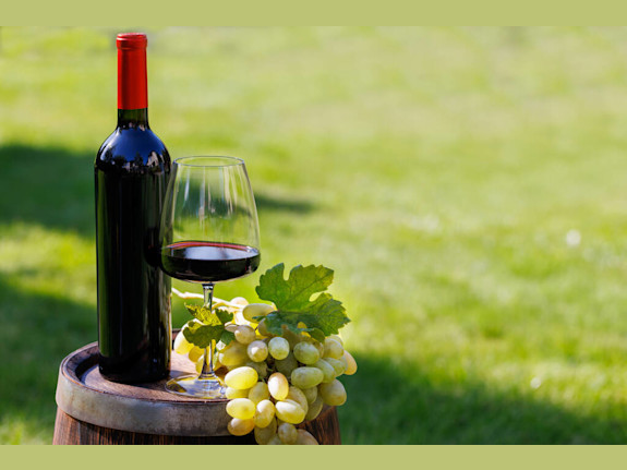 Premier Winery, Destination & Retreat in Tennessee