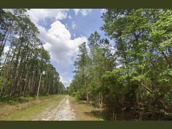 Nice Land in Georgetown Florida