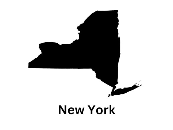 Manhattan NY Chiropractic Practice for Sale