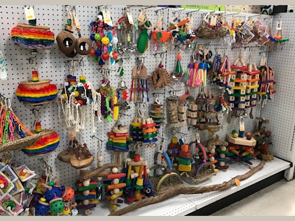 Pet Shop & Aquarium Center for Sale